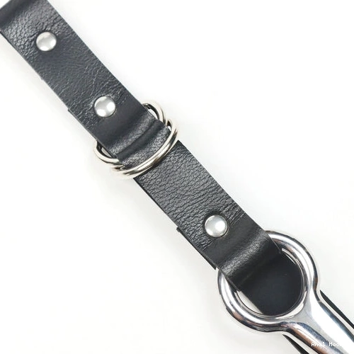 Anal Hooks Leash Collar with Kinky and Anal Hook EverydayUse 5853 0812